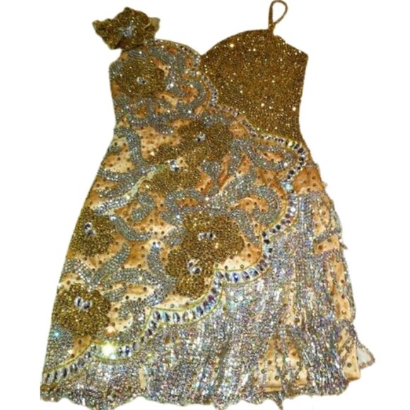 Couture Fully Beaded in Swarovski Crystals Fringes Flowers Prom Party Dress Gown - Picture 11 of 12